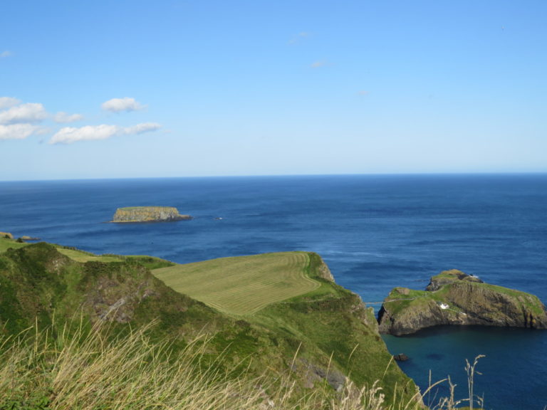 Carrick a Reed rope bridge