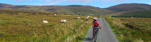 Self-guided cycling Donegal