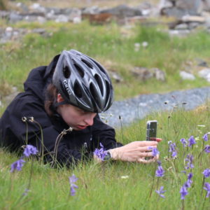 Taking a photo of bluebells during hike bike tour in Donegal