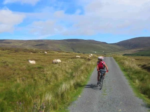 Cyclist cycling over boglands, Donegal, Ireland