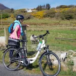Cyclist with lambs in County Donegal, Ireland