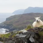 Review image thumbnail