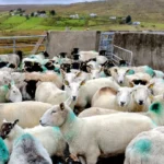 Review image thumbnail