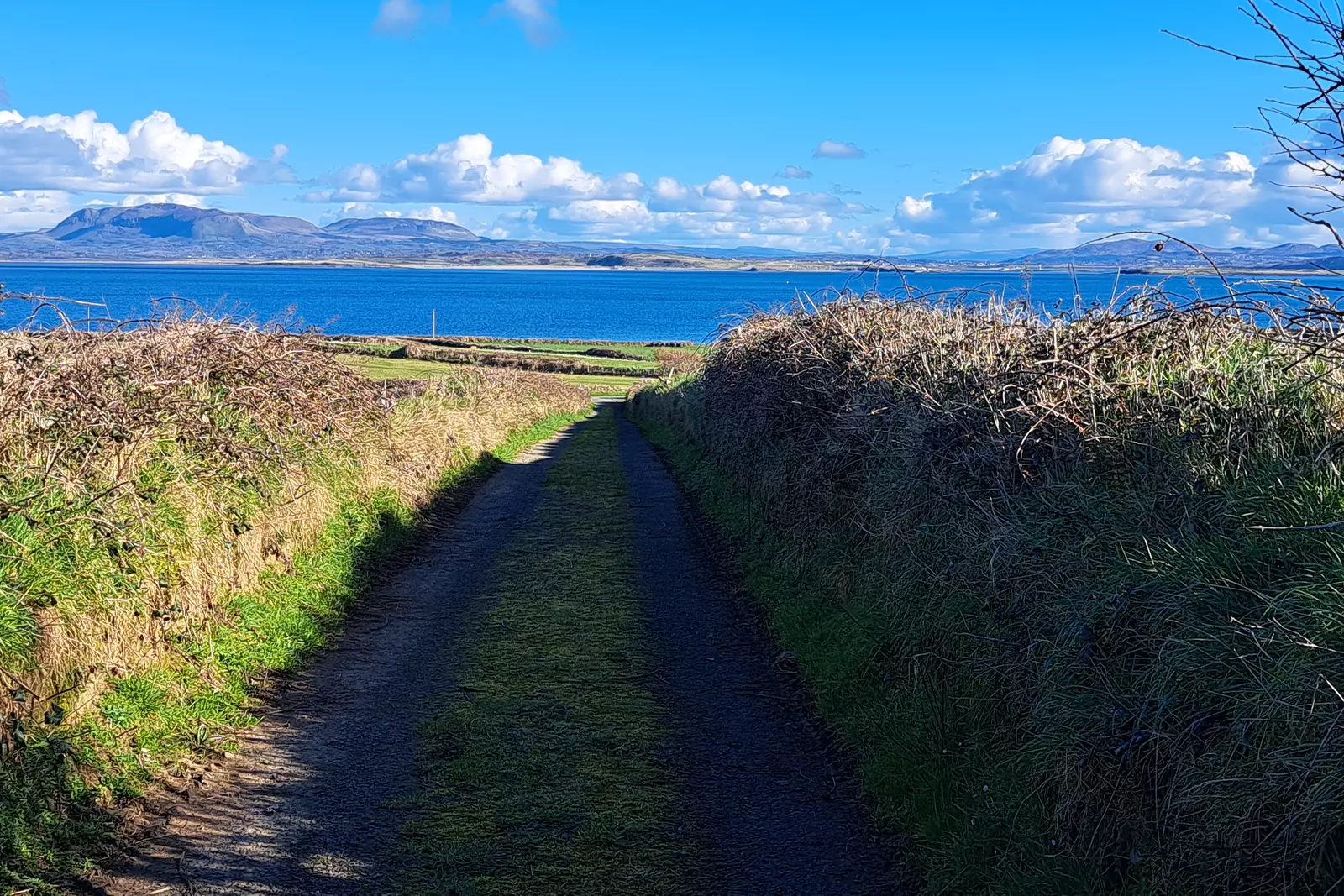 Country lane lading towards the sea.