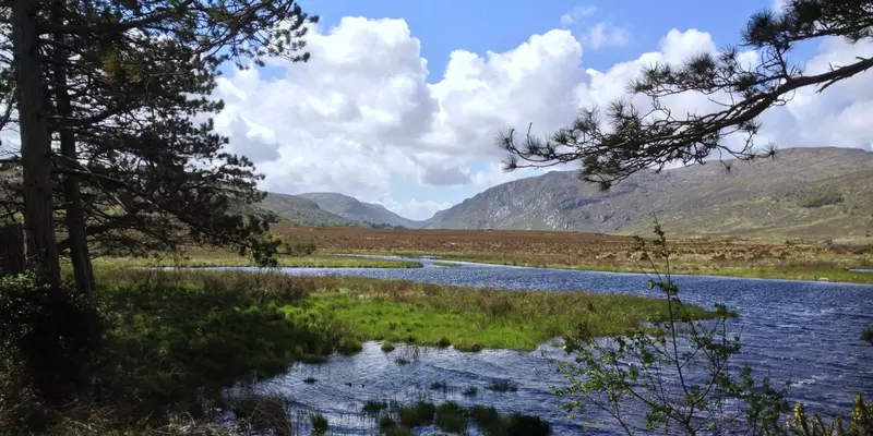 Lake with trees on one side and mountains in the distance