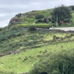 Review image thumbnail