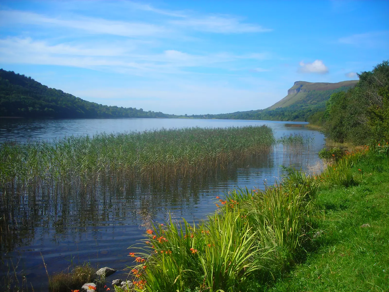 Lake with reeds growing and steep hills each side.