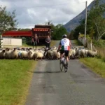 Review image thumbnail