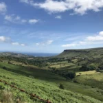 Review image thumbnail