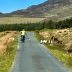 Review image thumbnail