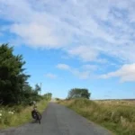 Review image thumbnail