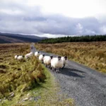 Review image thumbnail