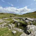 Review image thumbnail